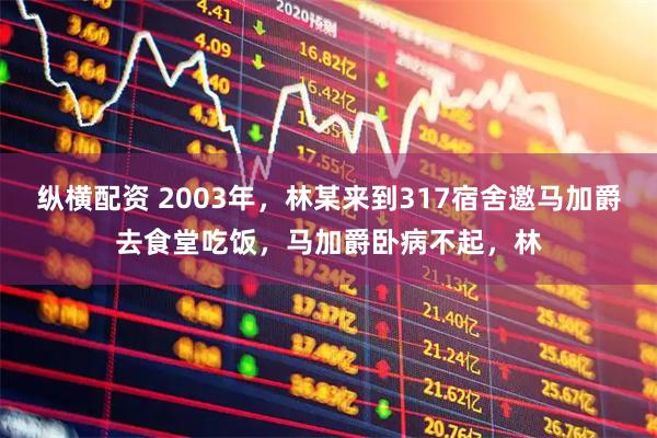 纵横配资 2003年，林某来到317宿舍邀马加爵去食堂吃饭，马加爵卧病不起，林