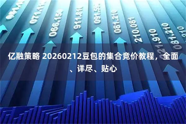 亿融策略 20260212豆包的集合竞价教程，全面、详尽、贴心