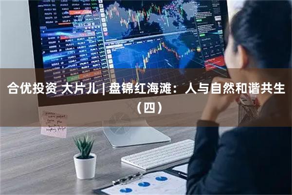 合优投资 大片儿 | 盘锦红海滩：人与自然和谐共生（四）