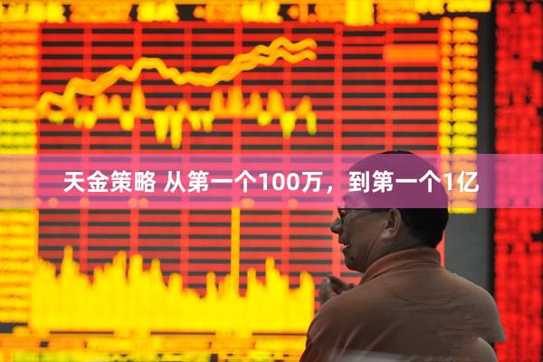 天金策略 从第一个100万，到第一个1亿