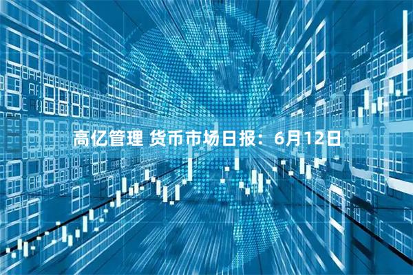 高亿管理 货币市场日报：6月12日